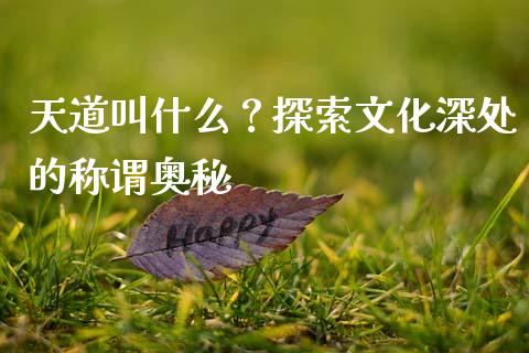 天道叫什么？探索文化深处的称谓奥秘_https://www.fcdydaikuan.com_恒生指数直播室_第1张