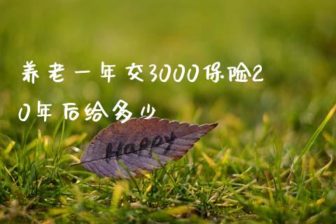 养老一年交3000保险20年后给多少_https://www.fcdydaikuan.com_德指期货直播_第1张