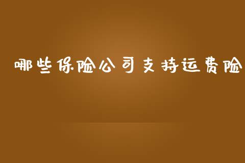 哪些保险公司支持运费险_https://www.fcdydaikuan.com_德指期货直播_第1张