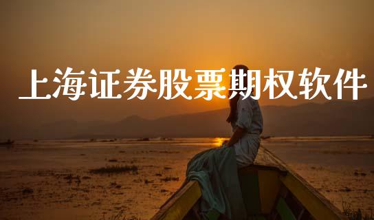 上海证券股票期权软件_https://www.fcdydaikuan.com_德指期货直播_第1张