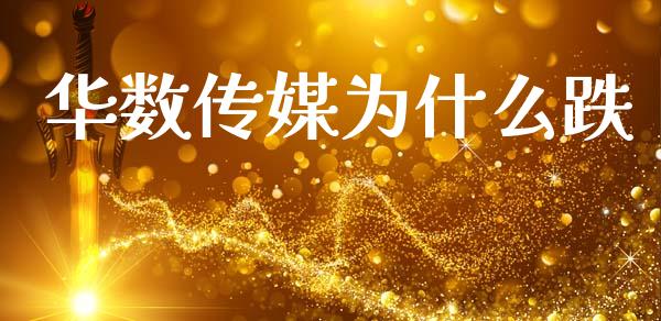 华数传媒为什么跌_https://www.fcdydaikuan.com_恒生指数直播室_第1张