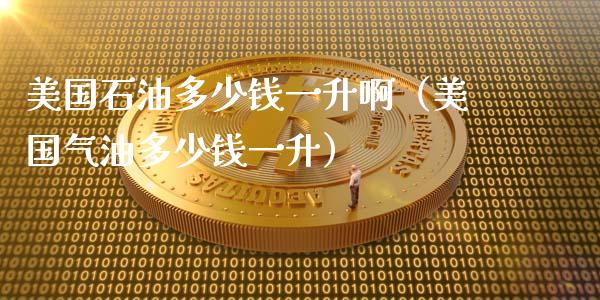 美国石油多少钱一升啊（美国气油多少钱一升）_https://www.fcdydaikuan.com_德指期货直播_第1张