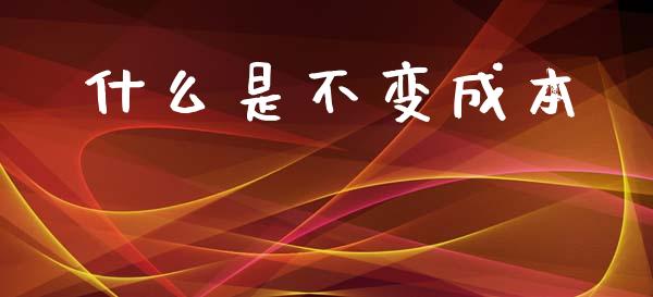 什么是不变成本_https://www.fcdydaikuan.com_德指期货直播_第1张