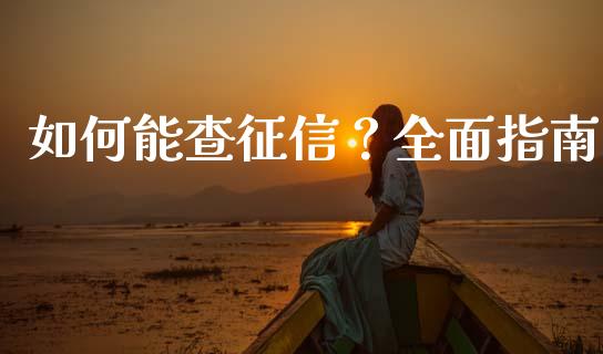 如何能查征信？全面指南_https://www.fcdydaikuan.com_德指期货直播_第1张
