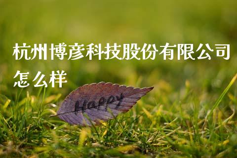 杭州博彦科技股份有限公司怎么样_https://www.fcdydaikuan.com_恒指期货直播_第1张