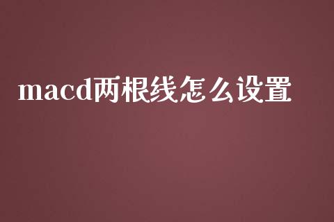 macd两根线怎么设置_https://www.fcdydaikuan.com_恒指期货直播_第1张