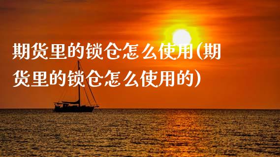 期货里的锁仓怎么使用(期货里的锁仓怎么使用的)_https://www.fcdydaikuan.com_黄金期货直播_第1张