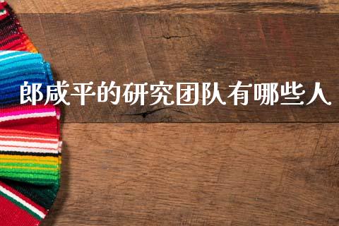 郎咸平的研究团队有哪些人_https://www.fcdydaikuan.com_恒生指数直播室_第1张