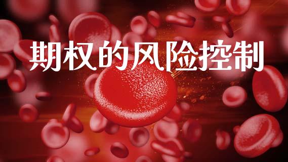 期权的风险控制_https://www.fcdydaikuan.com_黄金期货直播_第1张