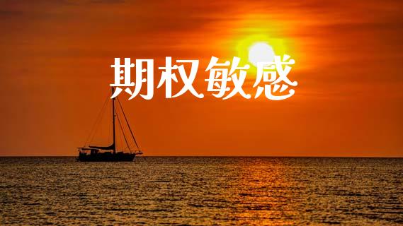 期权敏感_https://www.fcdydaikuan.com_德指期货直播_第1张