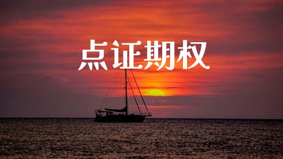 点证期权_https://www.fcdydaikuan.com_黄金期货直播_第1张