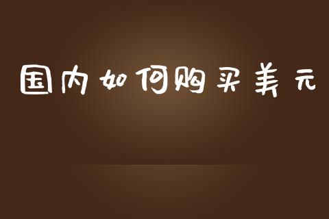 国内如何购买美元_https://www.fcdydaikuan.com_德指期货直播_第1张