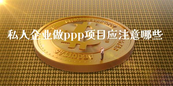 私人企业做ppp项目应注意哪些_https://www.fcdydaikuan.com_恒生指数直播室_第1张