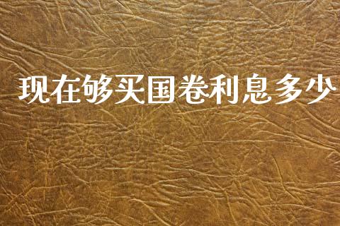 现在够买国卷利息多少_https://www.fcdydaikuan.com_恒指期货直播_第1张
