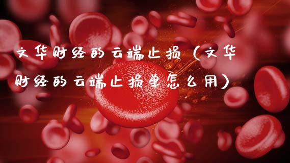 文华财经的云端止损（文华财经的云端止损单怎么用）_https://www.fcdydaikuan.com_黄金期货直播_第1张
