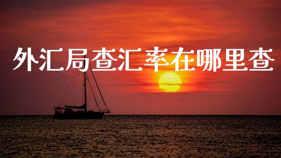 外汇局查汇率在哪里查_https://www.fcdydaikuan.com_德指期货直播_第1张