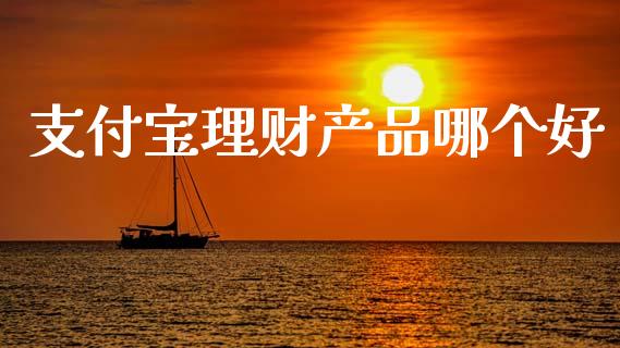支付宝理财产品哪个好_https://www.fcdydaikuan.com_德指期货直播_第1张