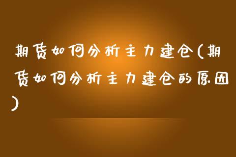 期货如何分析主力建仓(期货如何分析主力建仓的原因)_https://www.fcdydaikuan.com_恒生指数直播室_第1张