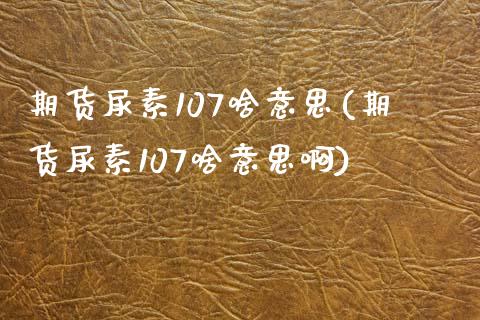 期货尿素107啥意思(期货尿素107啥意思啊)_https://www.fcdydaikuan.com_恒生指数直播室_第1张