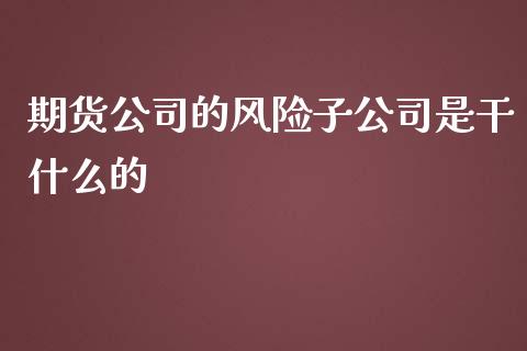 期货公司的风险子公司是干什么的_https://www.fcdydaikuan.com_恒指期货直播_第1张