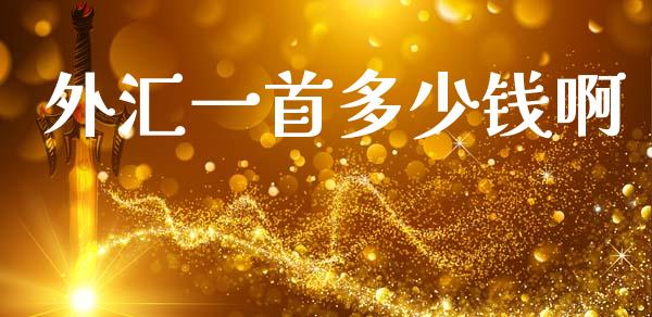 外汇一首多少钱啊_https://www.fcdydaikuan.com_恒指期货直播_第1张