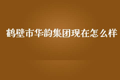 鹤壁市华韵集团现在怎么样_https://www.fcdydaikuan.com_恒指期货直播_第1张