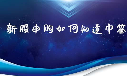 新股申购如何知道中签_https://www.fcdydaikuan.com_德指期货直播_第1张