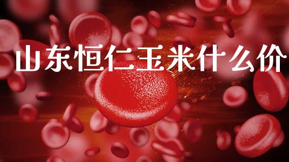 山东恒仁玉米什么价_https://www.fcdydaikuan.com_黄金期货直播_第1张