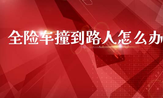 全险车撞到路人怎么办_https://www.fcdydaikuan.com_恒指期货直播_第1张