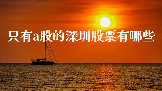 只有a股的深圳股票有哪些_https://www.fcdydaikuan.com_恒指期货直播_第1张