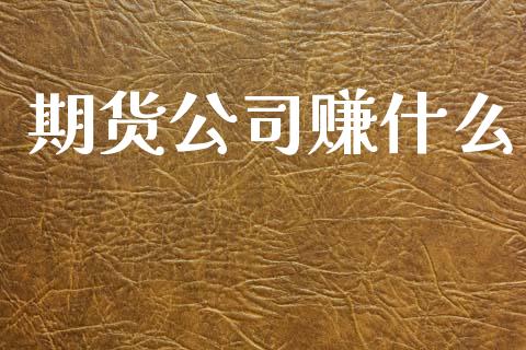 期货公司赚什么_https://www.fcdydaikuan.com_恒指期货直播_第1张