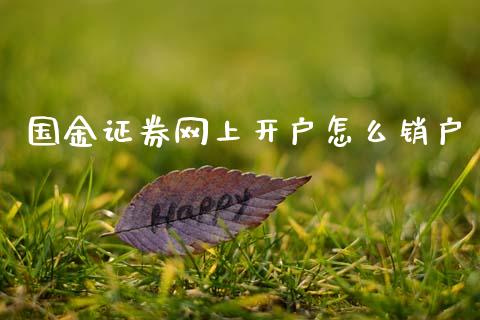国金证券网上开户怎么销户_https://www.fcdydaikuan.com_德指期货直播_第1张
