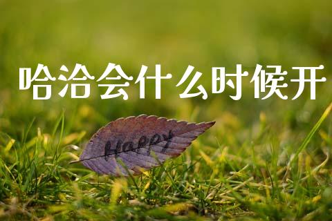 哈洽会什么时候开_https://www.fcdydaikuan.com_恒生指数直播室_第1张