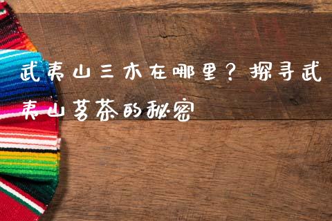 武夷山三木在哪里?探寻武夷山茗茶的秘密_黄金期货直播_第1张_恒生指数直播室_恒指期货直播_德指期货直播_黄金期货直播 武夷山三木在哪里?探寻武夷山茗茶的秘密_https://www.fcdydaikuan.com_黄金期货直播_第1张