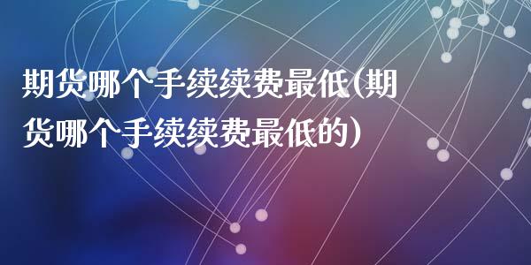 期货哪个手续续费最低(期货哪个手续续费最低的)_https://www.fcdydaikuan.com_黄金期货直播_第1张