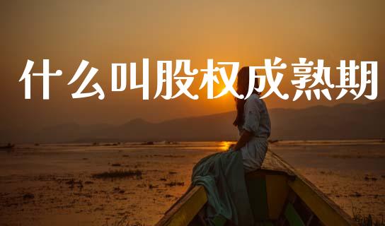 什么叫股权成熟期_https://www.fcdydaikuan.com_德指期货直播_第1张