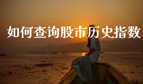 如何查询股市历史指数_https://www.fcdydaikuan.com_恒生指数直播室_第1张
