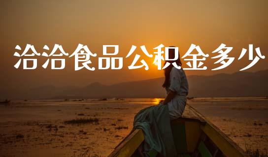 洽洽食品公积金多少_https://www.fcdydaikuan.com_恒生指数直播室_第1张