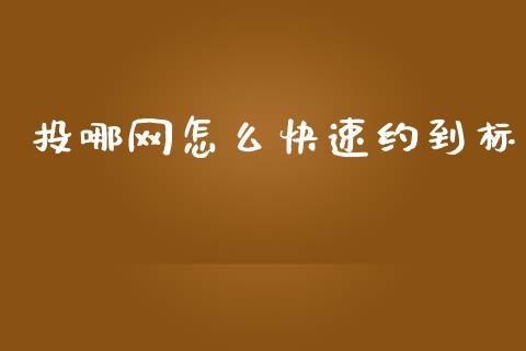 投哪网怎么快速约到标_https://www.fcdydaikuan.com_恒指期货直播_第1张