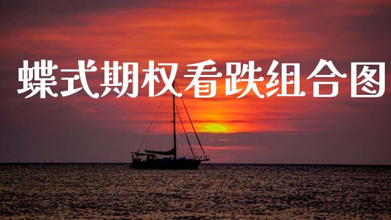 蝶式期权看跌组合图_https://www.fcdydaikuan.com_恒指期货直播_第1张