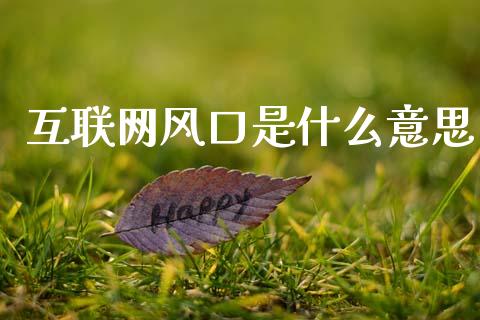 互联网风口是什么意思_https://www.fcdydaikuan.com_恒指期货直播_第1张