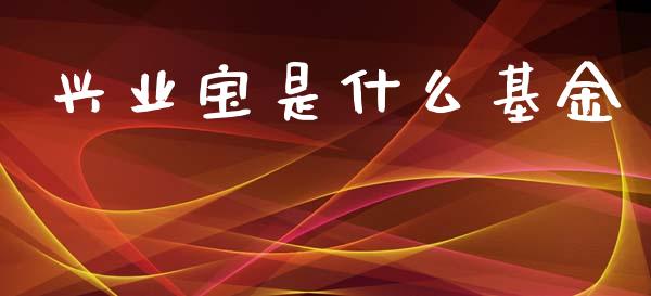 兴业宝是什么基金_https://www.fcdydaikuan.com_德指期货直播_第1张