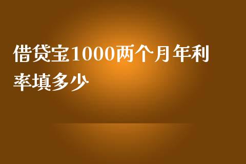 借贷宝1000两个月年利率填多少_https://www.fcdydaikuan.com_恒生指数直播室_第1张