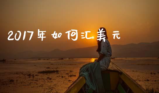2017年如何汇美元_https://www.fcdydaikuan.com_黄金期货直播_第1张