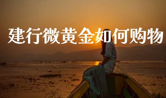 建行微黄金如何购物_https://www.fcdydaikuan.com_黄金期货直播_第1张