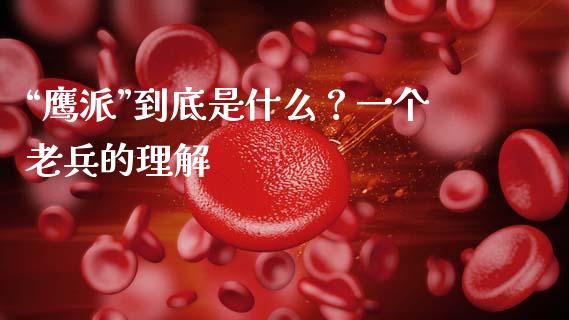 “鹰派”到底是什么？一个老兵的理解_https://www.fcdydaikuan.com_黄金期货直播_第1张