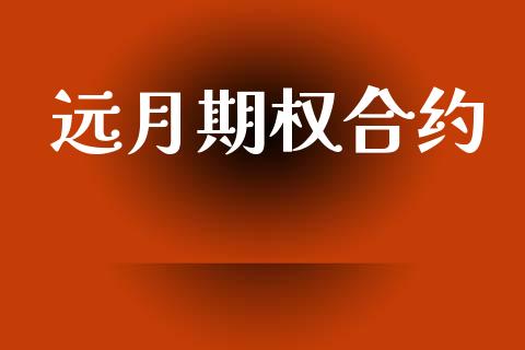 远月期权合约_https://www.fcdydaikuan.com_德指期货直播_第1张