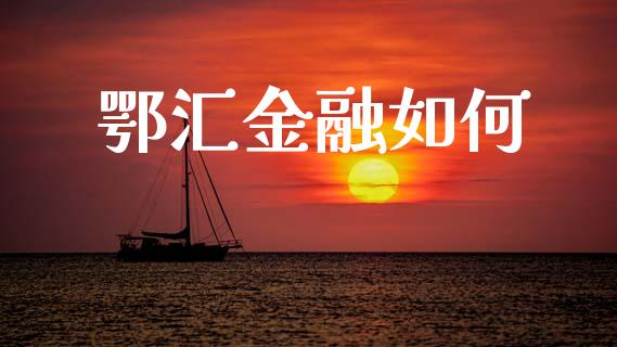 鄂汇金融如何_https://www.fcdydaikuan.com_黄金期货直播_第1张