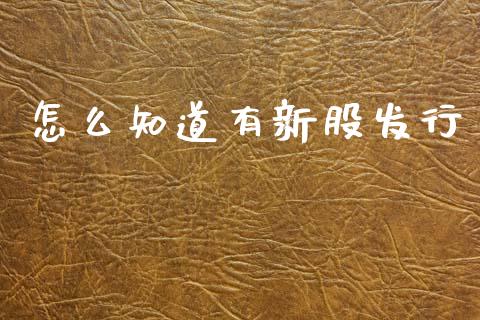 怎么知道有新股发行_https://www.fcdydaikuan.com_恒生指数直播室_第1张