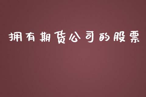 拥有期货公司的股票_https://www.fcdydaikuan.com_德指期货直播_第1张
